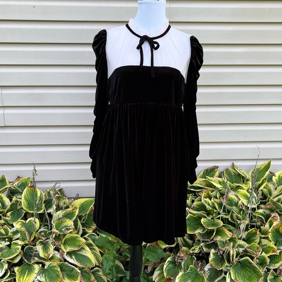 NWT Chelsea & Violet Long Shirred Sleeve Illusion Mesh Ruffle Black Velvet Dress - Picture 5 of 9